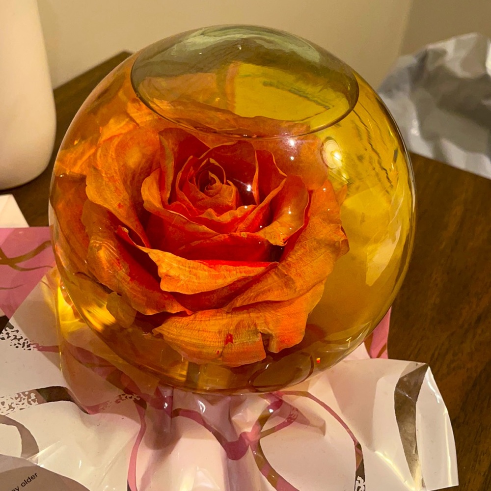 Real rose preserved